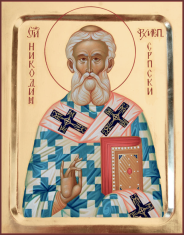 Святитель Никодим, архієпископ Сербський Nykodym serbskyy